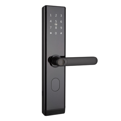 WiFi TTLOCK Умный дверной замок Биометрический отпечаток пальца Ручка двери Цифровой безключевой замок