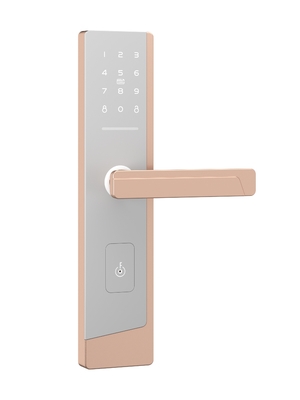 Умный сенсорный экран пароль дверной замок для одного администратора и до 100 пользователей