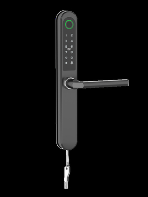 Дистанционное управление Bluetooth Wifi Smart Lock через шлюз Специальная функция отпечаток пальца