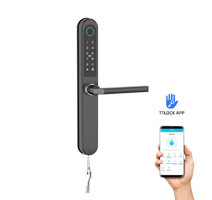 Крашенная отделка Smart Gate Lock Card / Code / Fingerprint / APP / Bluetooth / WiFi для квартир