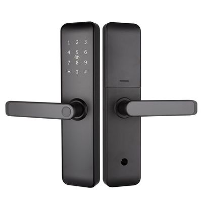 Окрашенные Bluetooth WiFi RFID Безключевые смарт-замки для квартир Дом Вход В дверь Комната В дверь
