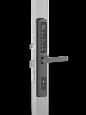 Поиск лица / Видео глаза кота / Palm Vein Smart Door Lock IP65 Алюминий