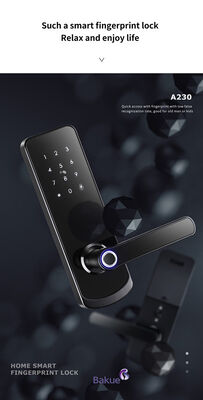 eKey Controller Type RFID Door Lock Featuring 2pcs Mechanical Key Durable Access Control Device for Various Environments (Ключевой контроллер электронной связи типа RFID с механическим ключом)